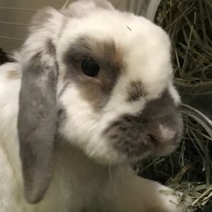 Meet your Posher, Jamie